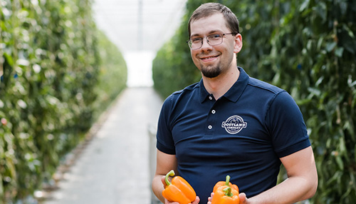 Location Manager Greenhouse 