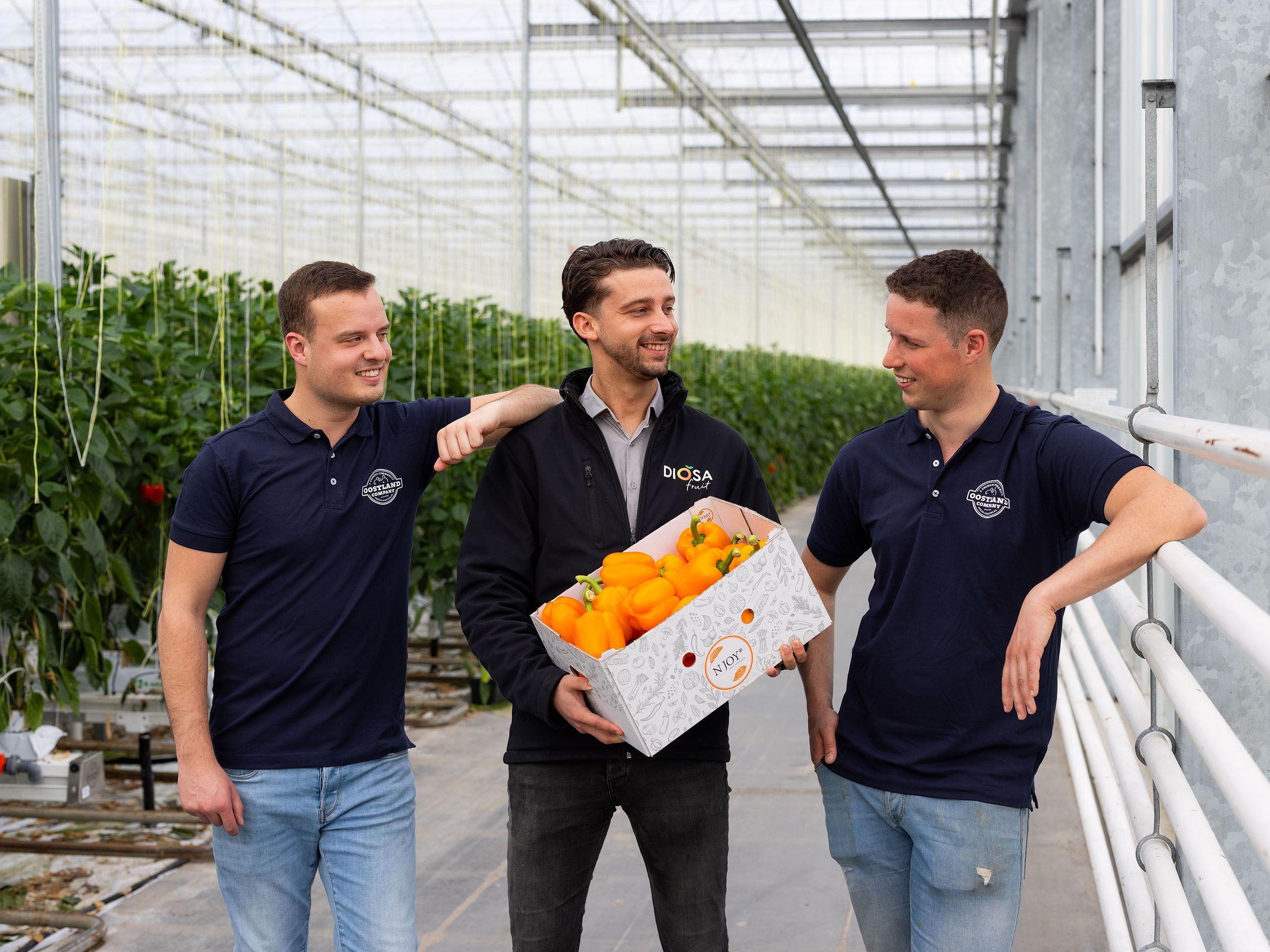 Oostland Company verkoop via Diosa Fruit