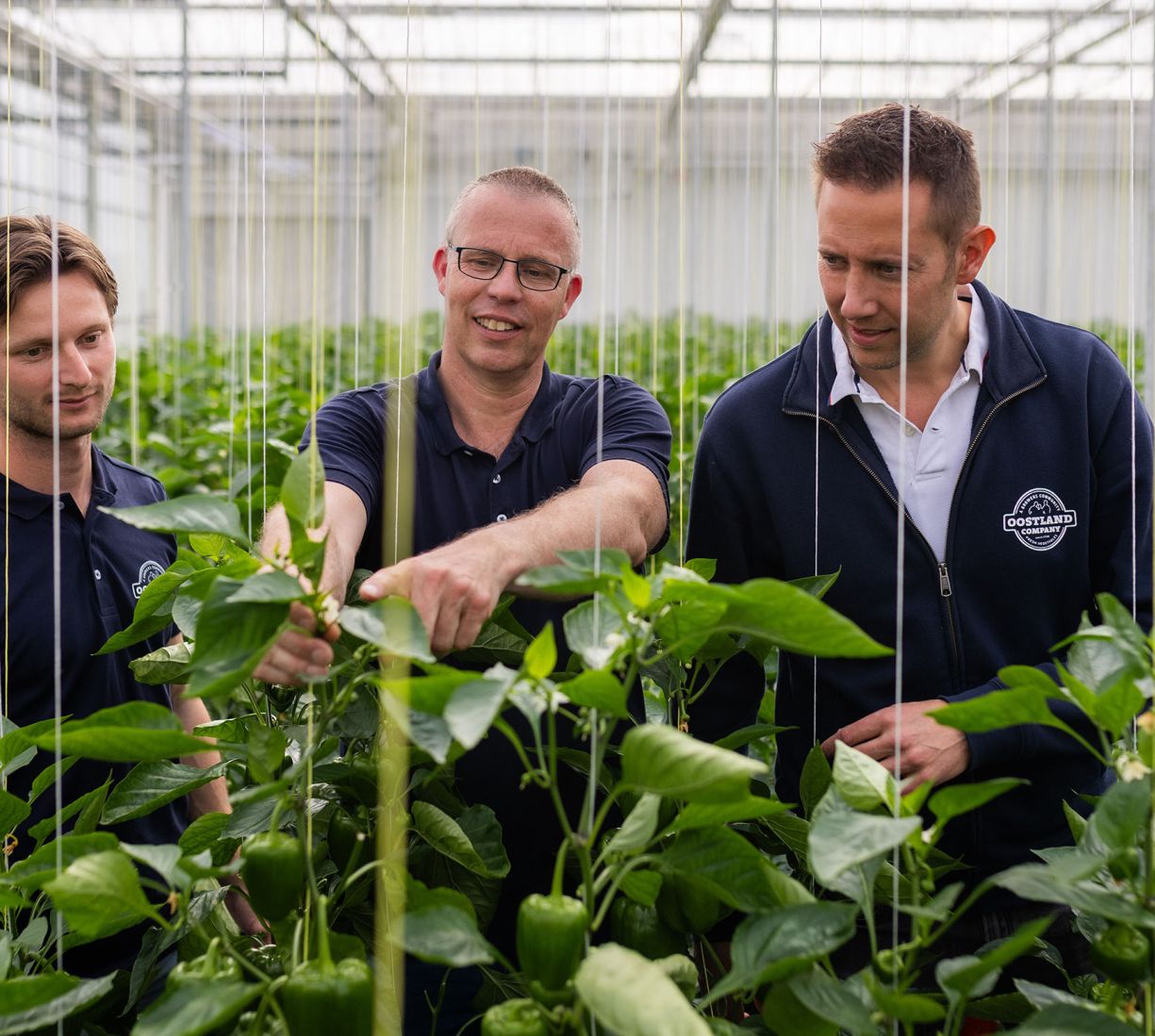 Oostland Company samen groeien