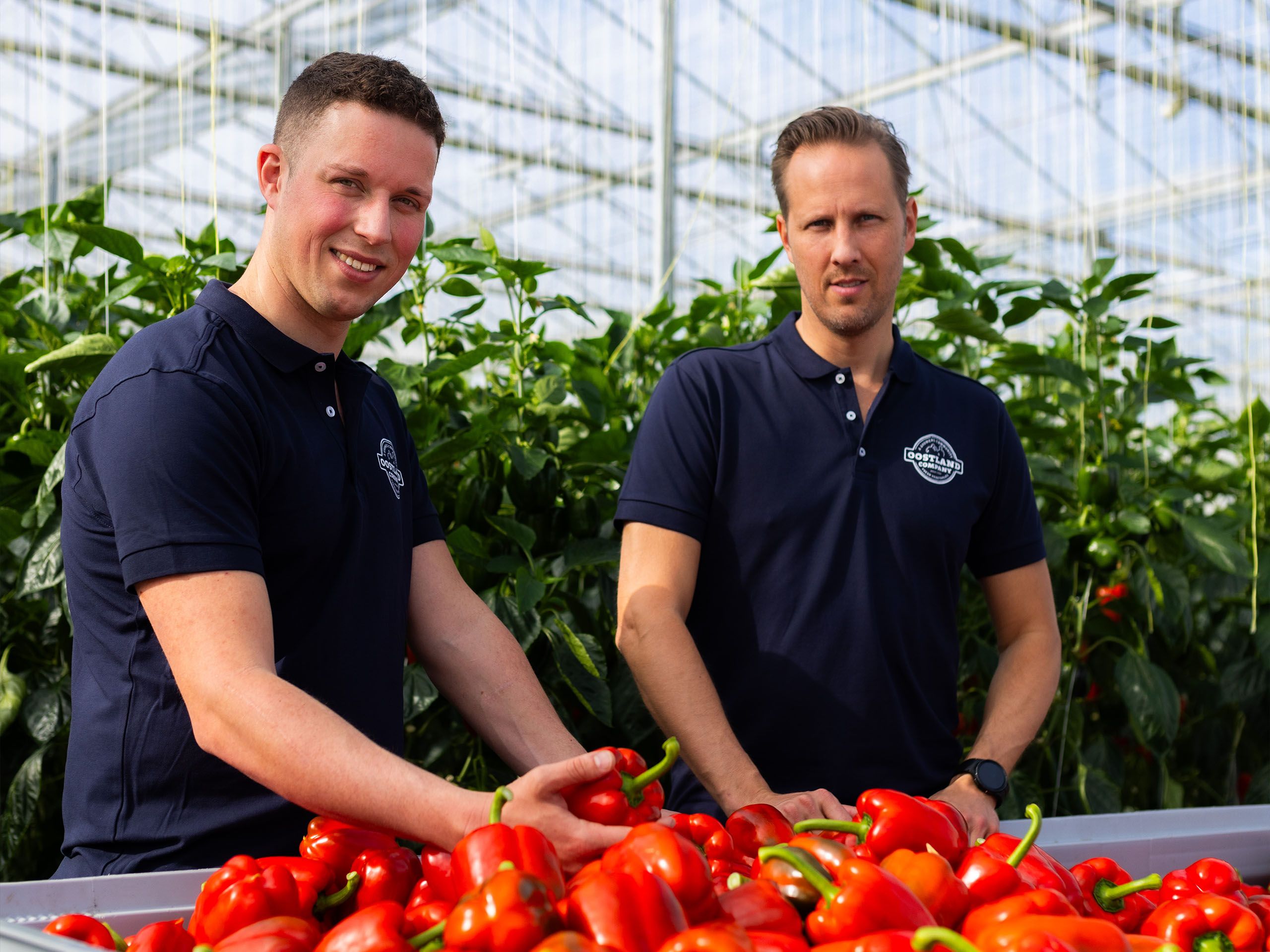 Oostland Company samen groeien