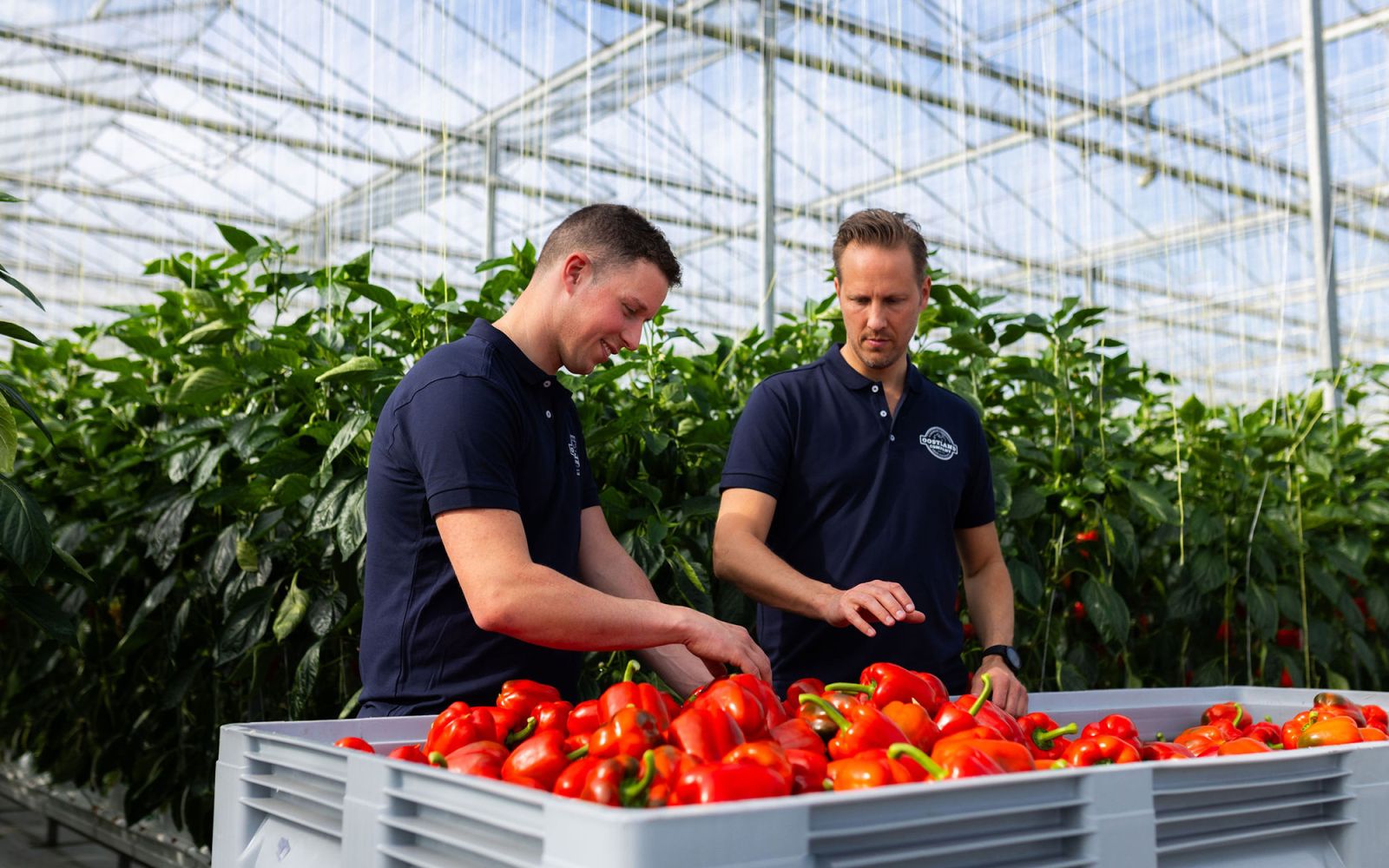 Oostland Company vacature slider images