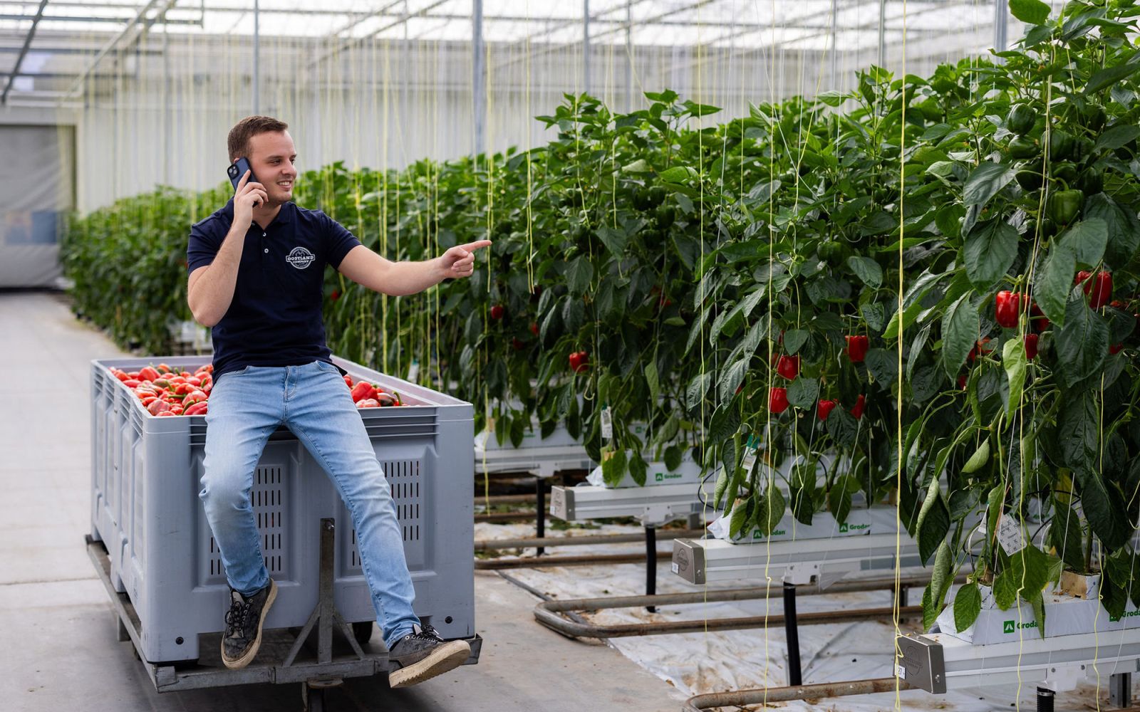Oostland Company vacature slider images