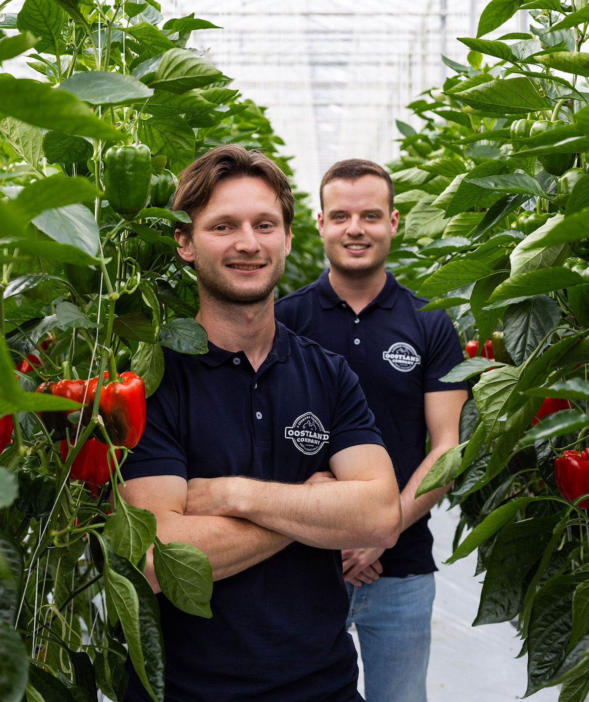 Oostland Company het team