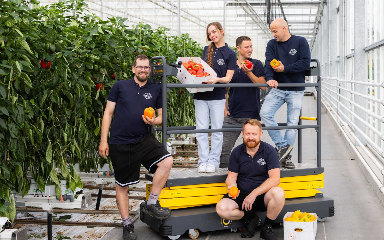 Oostland Company vacature slider images