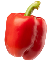 Oostland Company pepper Image