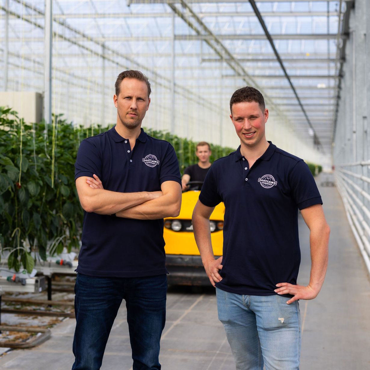 Oostland Company het team