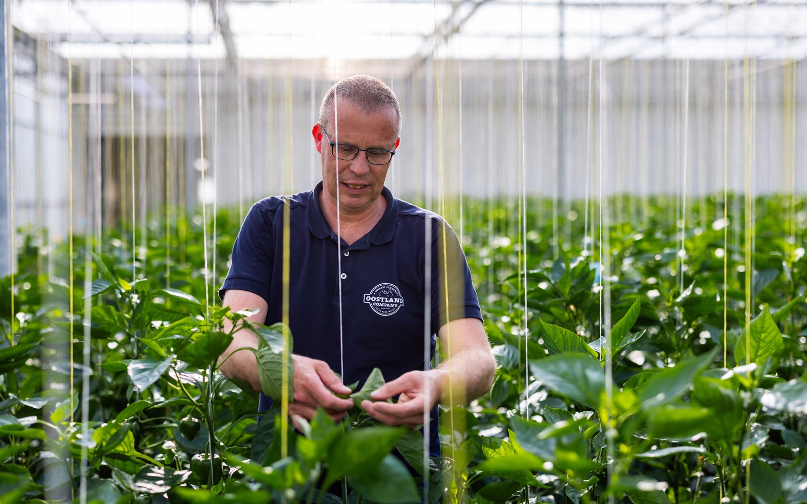 Oostland Company vacature slider images