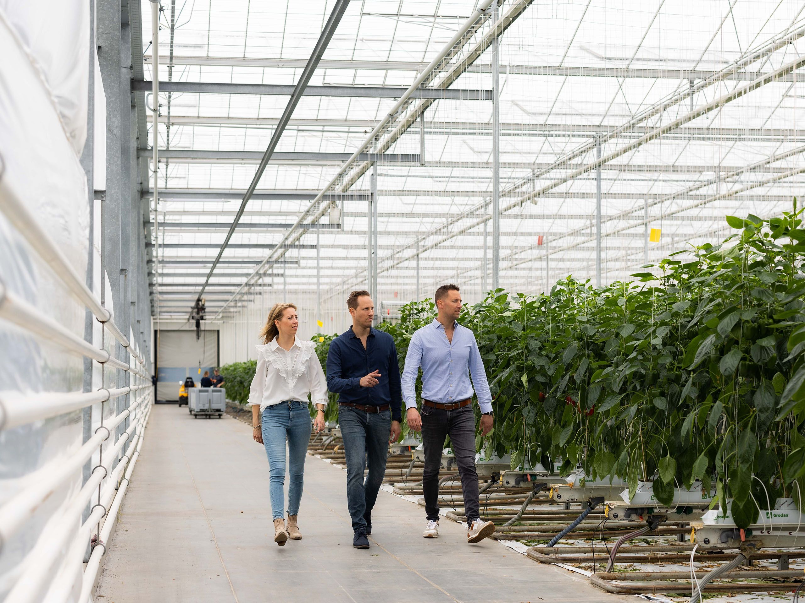 Oostland Company familiebedrijf