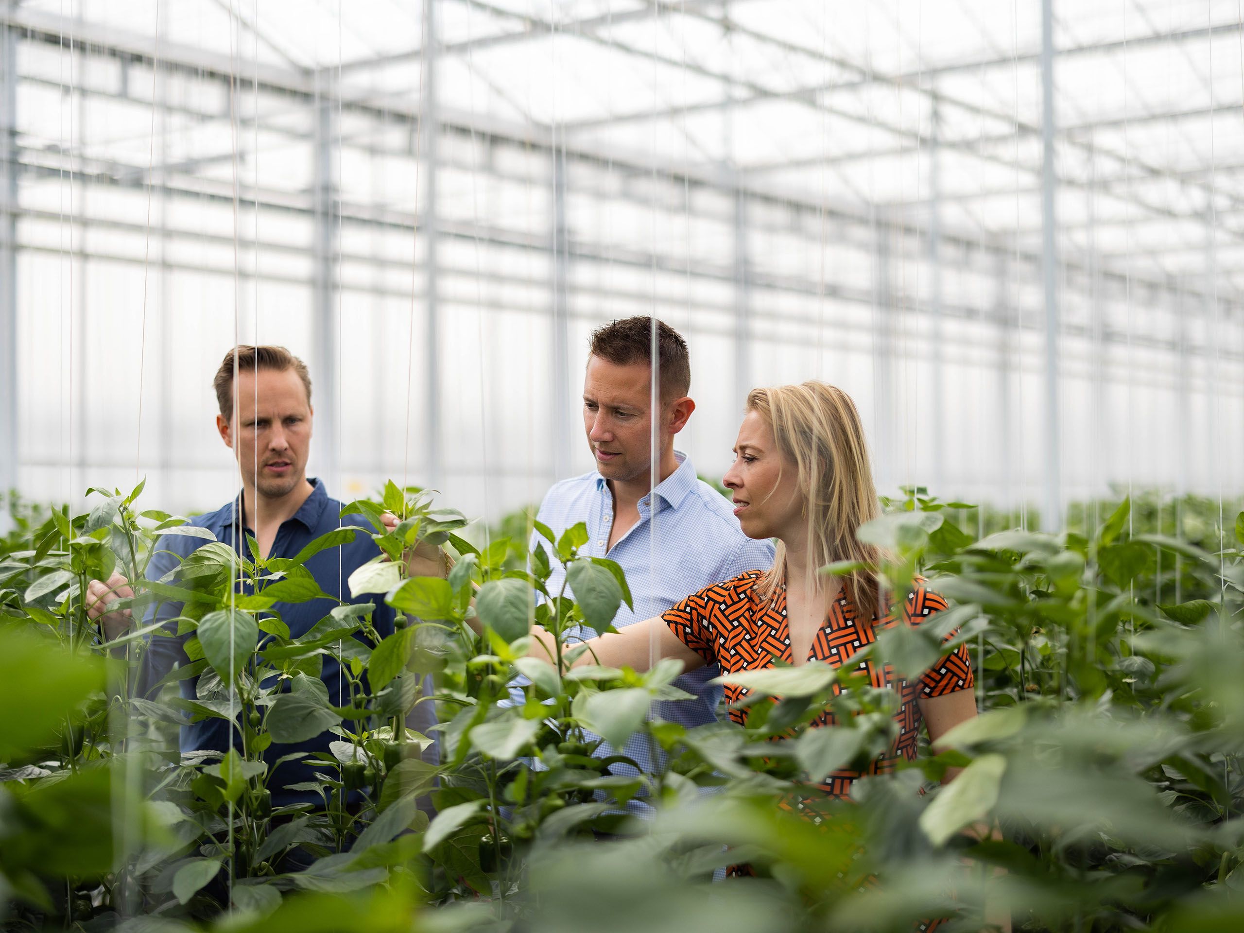 Oostland Company familiebedrijf